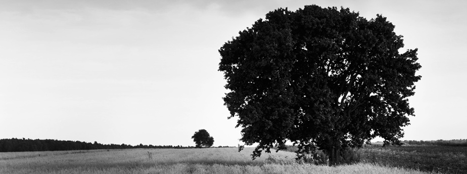短信轰在线轰炸免费网站